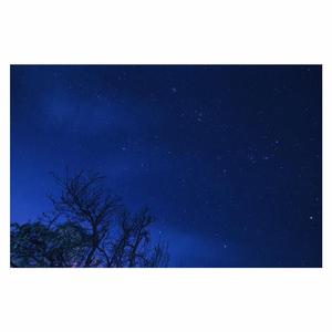 女人毛片毛片毛片毛片免费看
