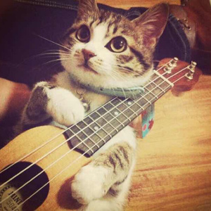 女人毛片毛片毛片毛片免费看
